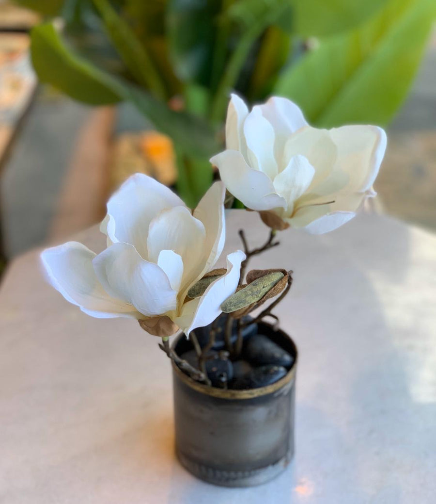 Flor de seda Magnolia Soulangeana Crema 25 cm