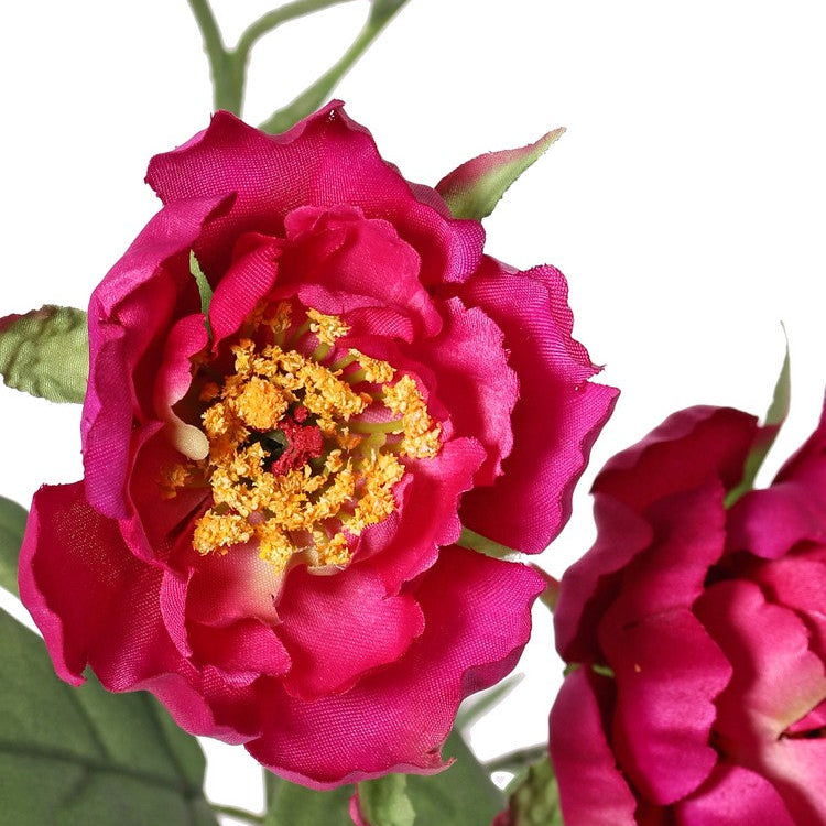 Rama de flores de seda Mini Peonía Fucsia