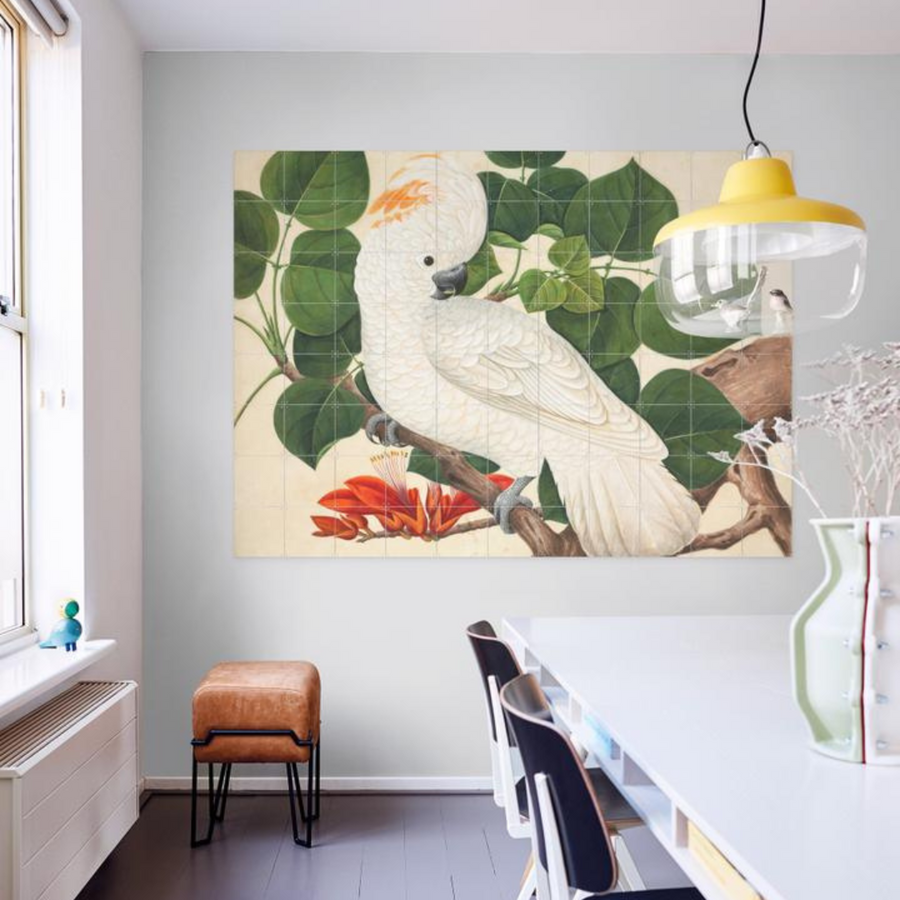 Mural decorativo Cockatoo de IXXI