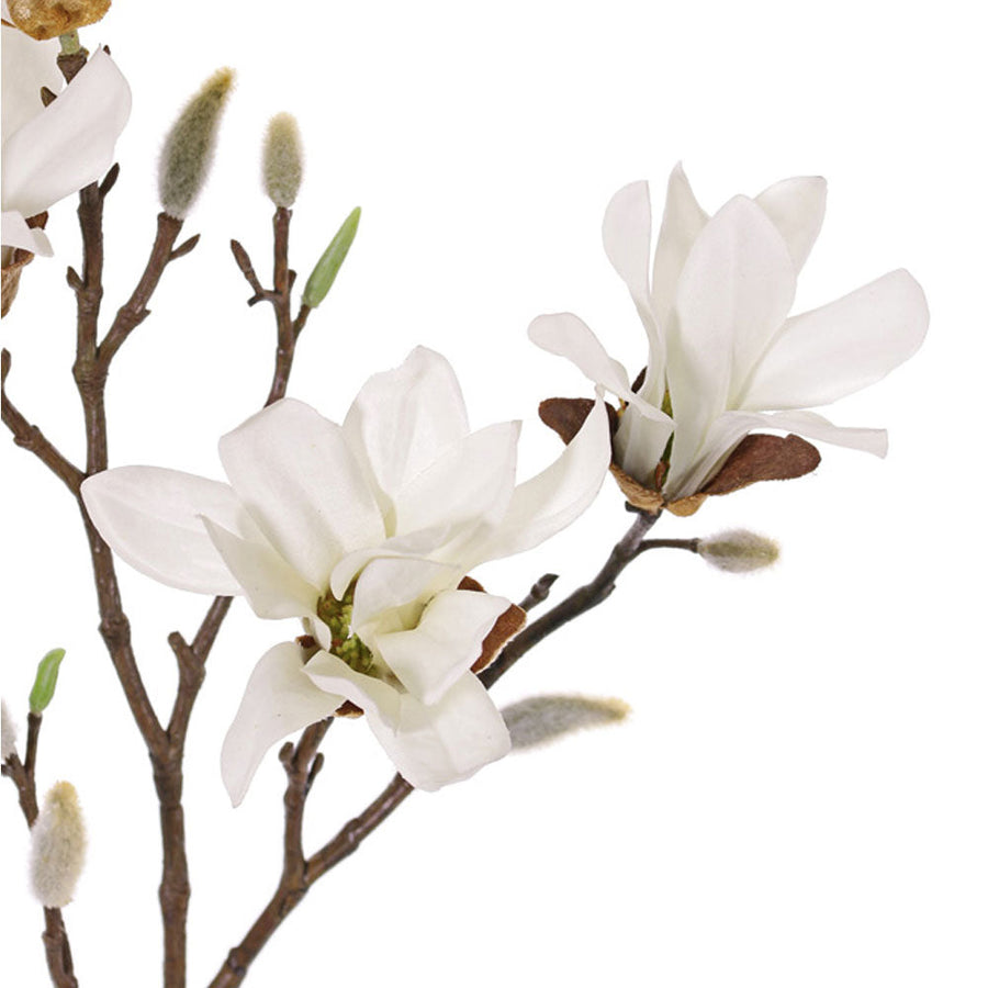 Flor de seda Magnolia Stellata Crema 60 cm