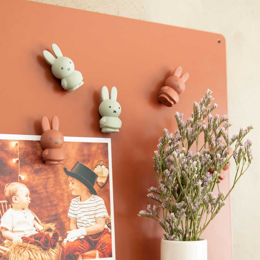 Set de 4 imanes Miffy colores