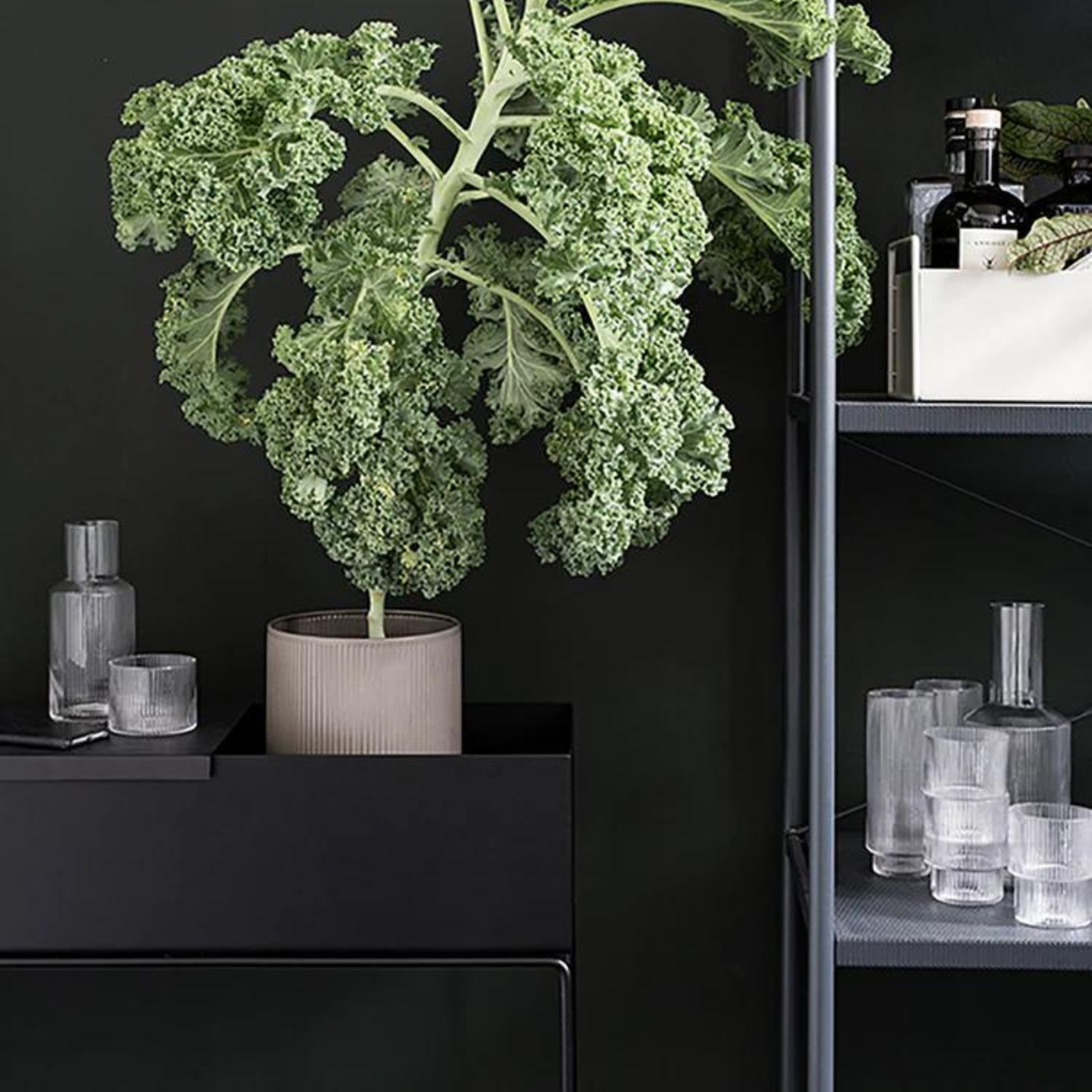Macetero - Plant Station 60 Metal Black