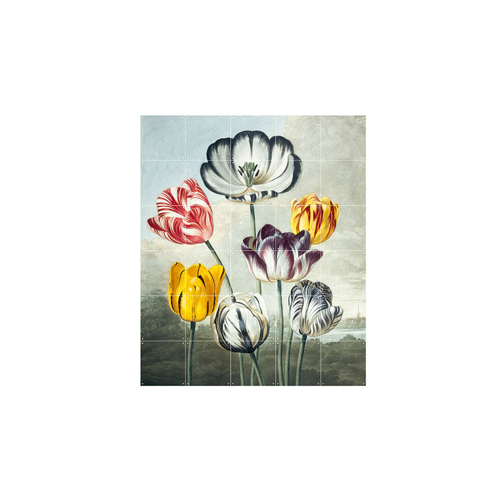 Mural IXXI - Tulips