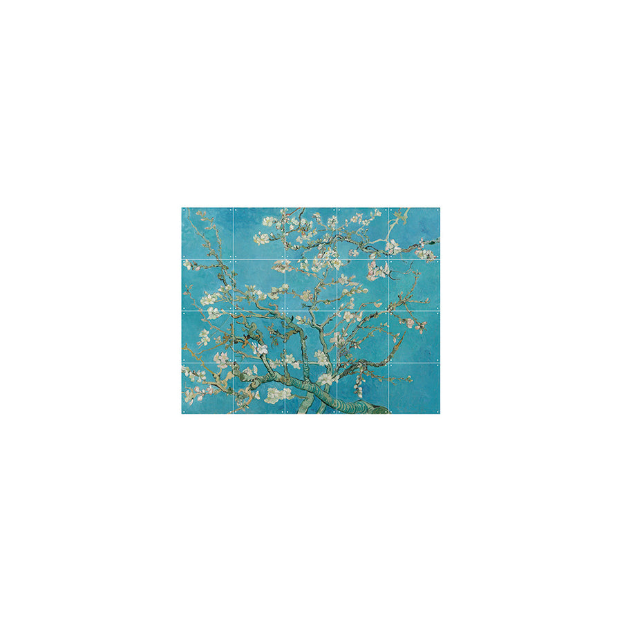 Mural IXXI Almond Blossom